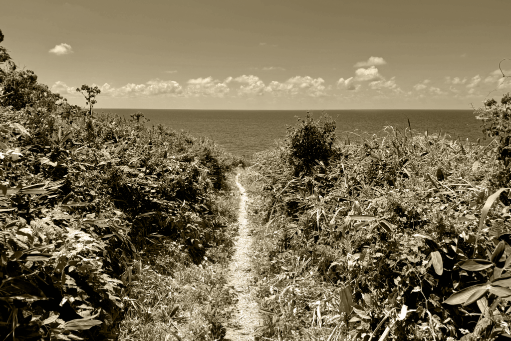 古き良き時代の再現　人と人が助け合う“昭和のぬくもり”を、現代に取り戻す。